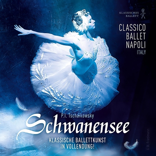 2 x Karten 19.12.Schwanensee Ballett National selling Italian Ballet