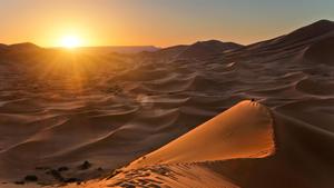 Вечный Египет. Пустыня