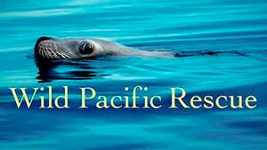 Спасение дикой природы Тихого океана